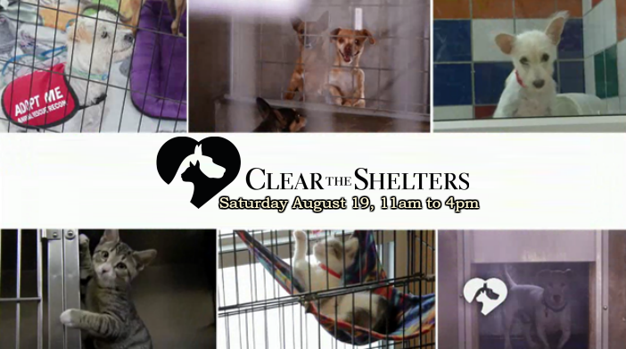 ‘Clear the Shelters’ Event Takes Place Saturday August 19