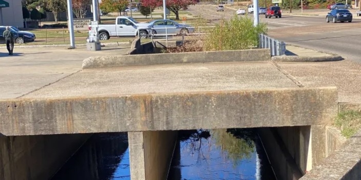 Police Identify Remains of Woman Found in Ditch on Arkansas Boulevard